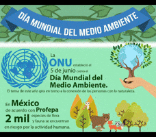 PoliticaalDia  GIF