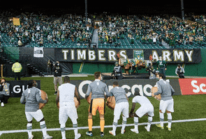 Sport Mls GIF by Timbers