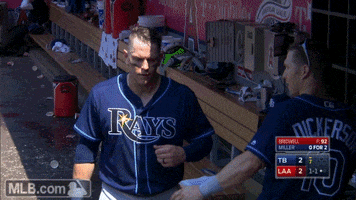 Tampa Bay Rays Hug GIF by MLB