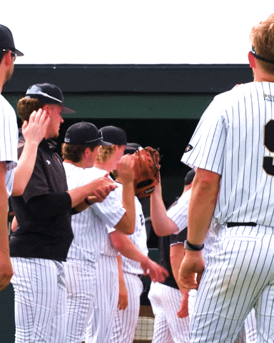 Baseball Pitcher GIF by Purdue Fort Wayne Athletics