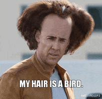 Messyhair GIFs - Get the best GIF on GIPHY Messyhair GIFs - Get the best GIF on GIPHY