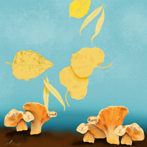 Falling Leaves GIF