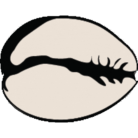 Animated Sticker