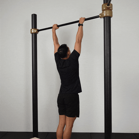 Calisthenics Exercises GIF