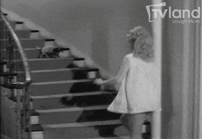 donna douglas dogs GIF by TV Land Classic