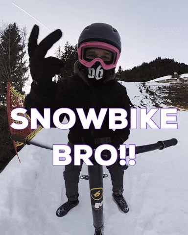 Snow Ski GIF