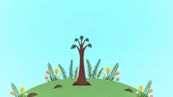 treetopfamily GIF by Super Simple