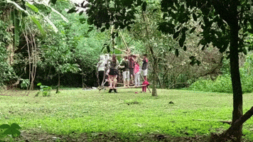 Amigos Mata GIF by GIF CHANNEL - GREENPLACE PARK