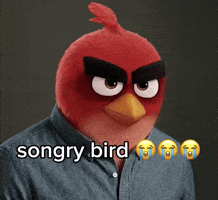 Angry Birds Son GIF