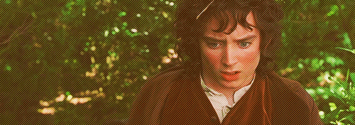 fellowship of the ring