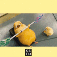 Funny-gym GIFs - Get the best GIF on GIPHY Funny-gym GIFs - Get the best GIF on GIPHY