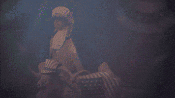 December5 GIF by RepealDay