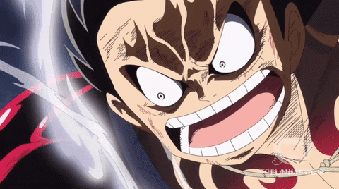 One Piece GIF by Funimation  Find  Share on GIPHY