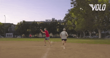 Excited Baseball GIF by Volo Sports