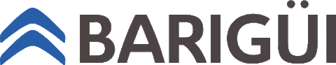 CitroenBarigui Sticker