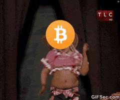 Bitcoin Pomp GIF by Crypto GIFs & Memes ::: Crypto Marketing