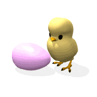chick