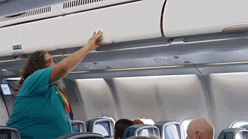 doge airplanes GIF by Digg