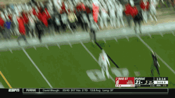 Ohio State Football GIF