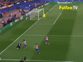mmmdovilkin  GIF