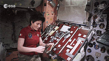space tacos GIF by Digg