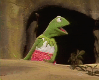 Kermit realizes that he's naked