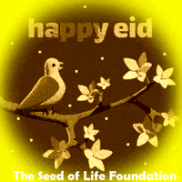 Happy Plant GIF by The Seed of Life Foundation