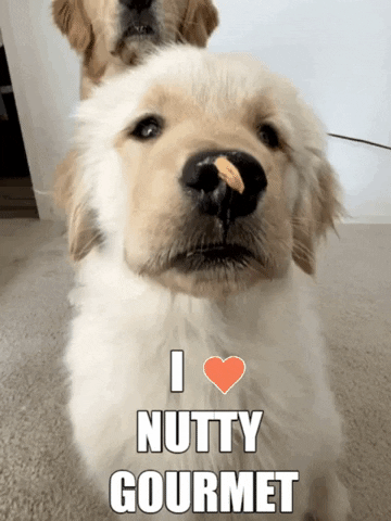 nutty-gourmet food puppy yum snack GIF