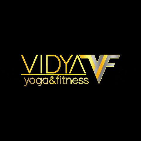VidyaYogaAndFitness yoga vidya vyf GIF