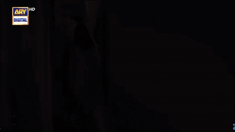 Habs GIF