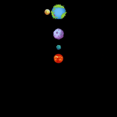 Catedraloor GIF