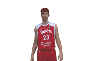 Turkey Bizbirlikteyiz Sticker by Türkiye Basketbol Federasyonu
