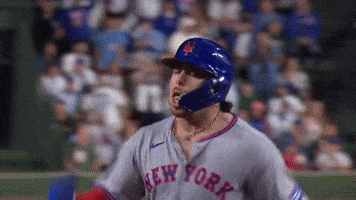 New York Mets Sport GIF by MLB