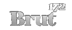 Brut172 Sticker