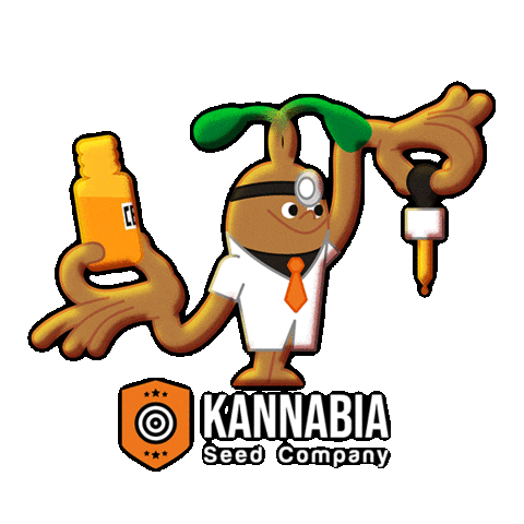 Kannabia Seeds Sticker
