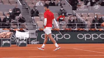 Djokovic Roland Garros GIF