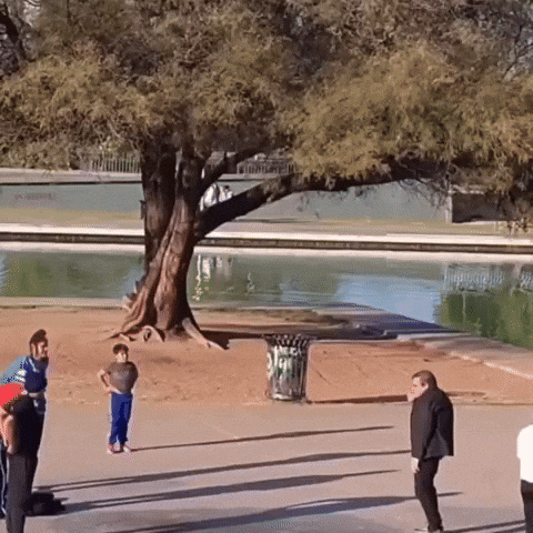 GIF by GHILARDI