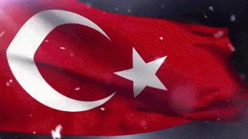 Flag Turkey GIF