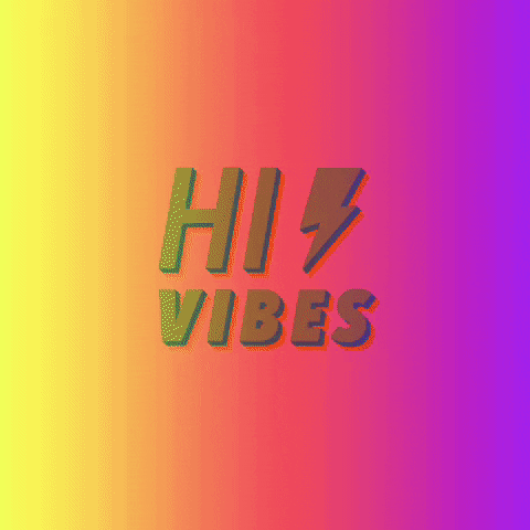Hilo GIF by hilohouse