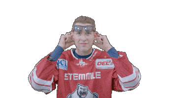 Hockey Family Sticker by Eisbären Regensburg