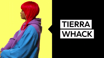 Tierra Whack GIF by Interscope Records
