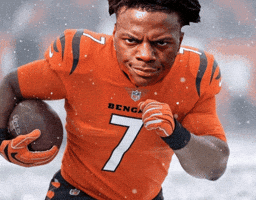 Cincinnati Bengals Nfl GIF