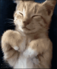 Video gif. A small cat or kitten, lies in someone's lap with her eyes closed. She reaches out in a stretch before covering her eyes with her paws.