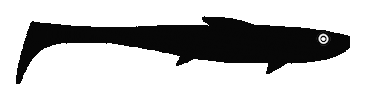 Blackbay fishing Sticker