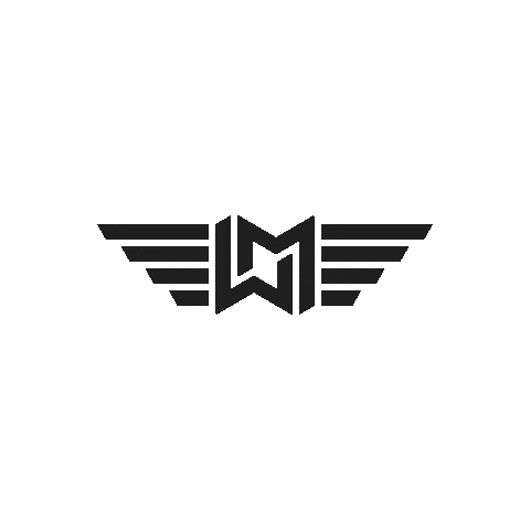 WingmanDiscs Sticker