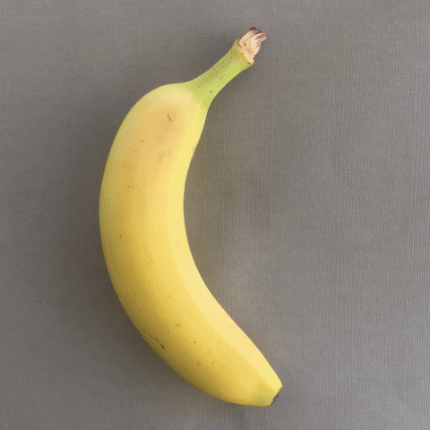 iSteef logo germany banana banana art GIF