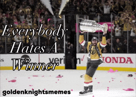 Stanley Cup GIF