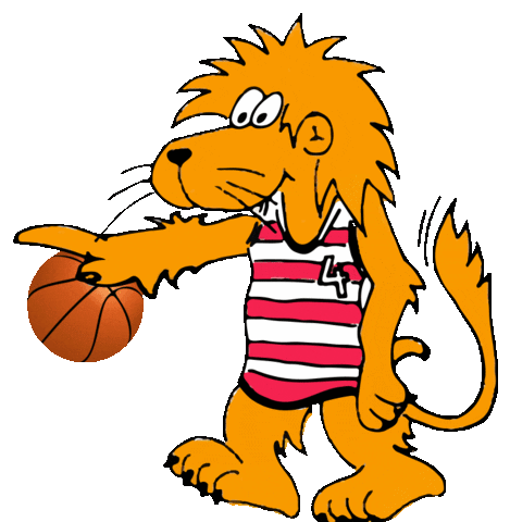 Hessischer Basketball Verband Sticker