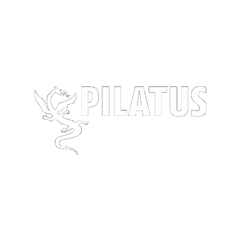 Logo Switzerland Sticker by Pilatus