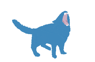 Cat Kitty Sticker